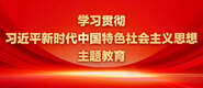 免费看黄操b网站学习贯彻习近平新时代中国特色社会主义思想主题教育_fororder_ad-371X160(2)